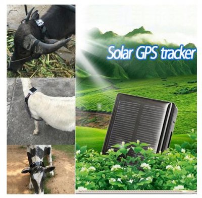 V24 New Solar pets gps tracker Never Power OFF Waterproof Animal Pet And dog device